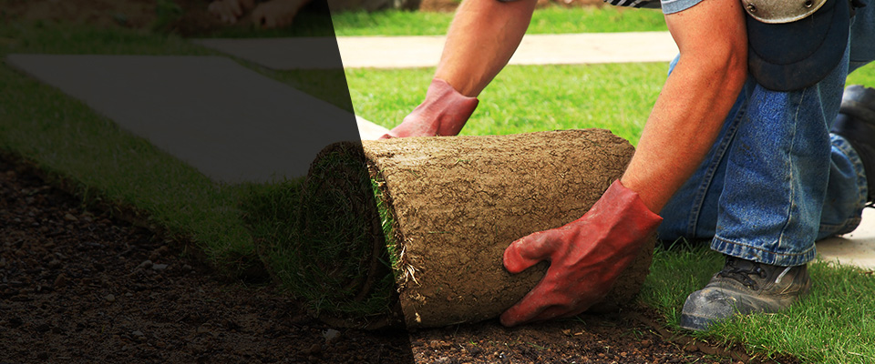 Millstadt Landscapers
